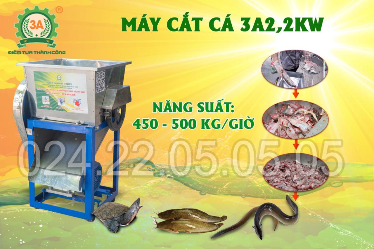 Năng suất vượt trội