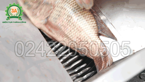 Bô dao cắt bền bỉ