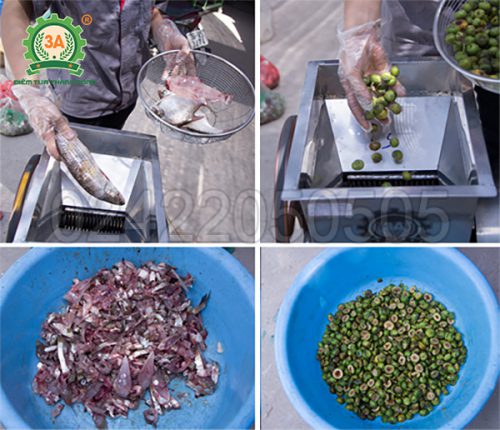 Thái, cắt đa dạng các loại nguyên liêu