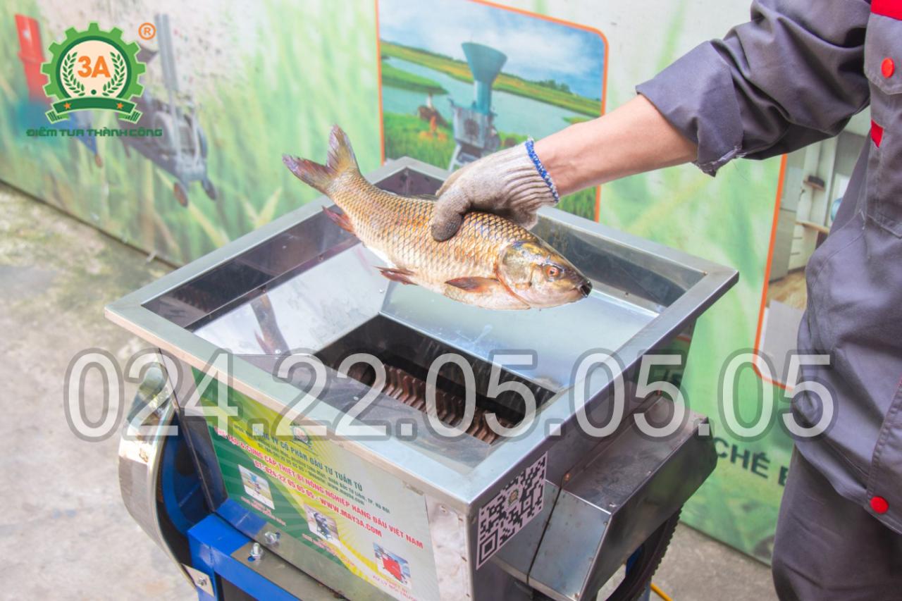 Thiết kế chắc chắn, bên bỉ