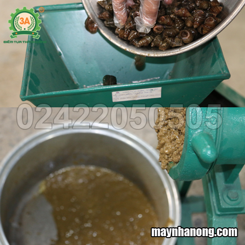 máy nghiền cua ốc