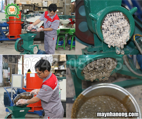 máy nghiền cua ốc cá