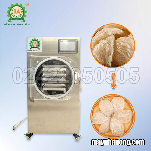 Máy sấy thăng hoa tổ yến