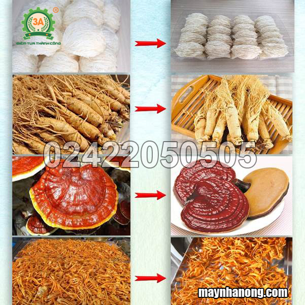 Máy sấy thăng hoa tổ yến 7