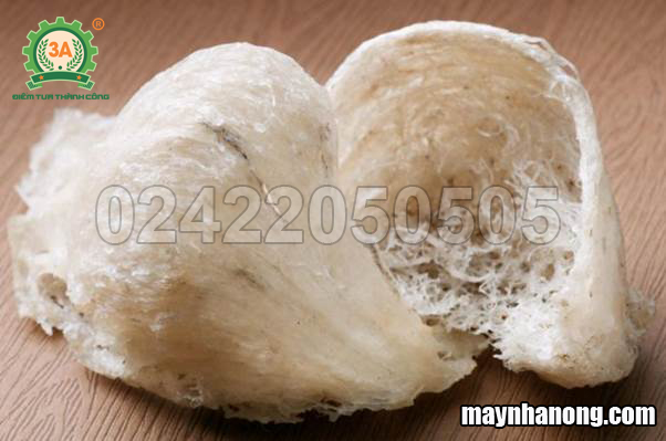 Máy sấy thăng hoa tổ yến 3A5Kg/mẻ