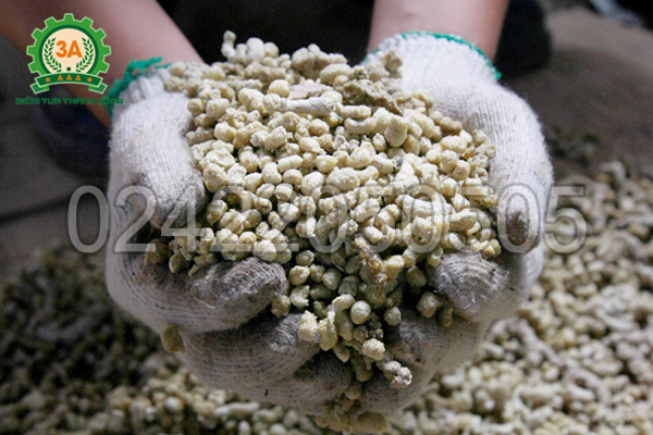 Máy ép cám cho cá, tôm