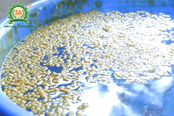 Máy Ép Cám Nổi 3A – Viên Nổi Chất Lượng Cho Cá Tôm