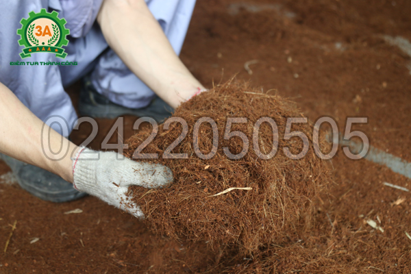 máy băm xơ dừa 3a