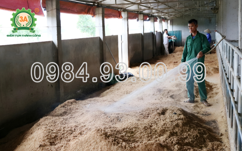đệm lót sinh học