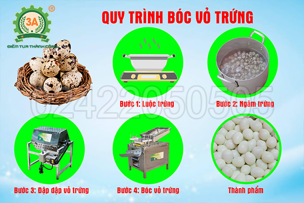 Máy đập vỏ trứng
