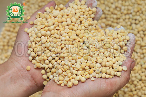 Đậu nành tách vỏ