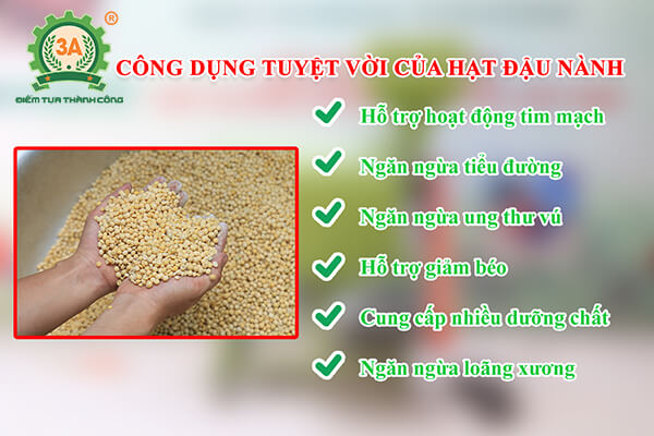 Đậu nành tách vỏ