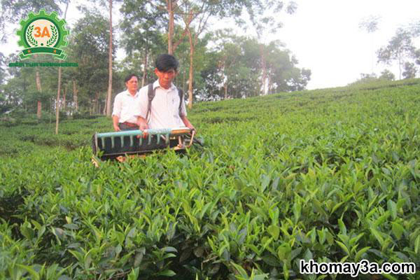 máy cắt chè cầm tay