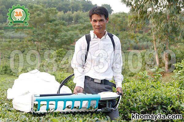 máy cắt chè cầm tay