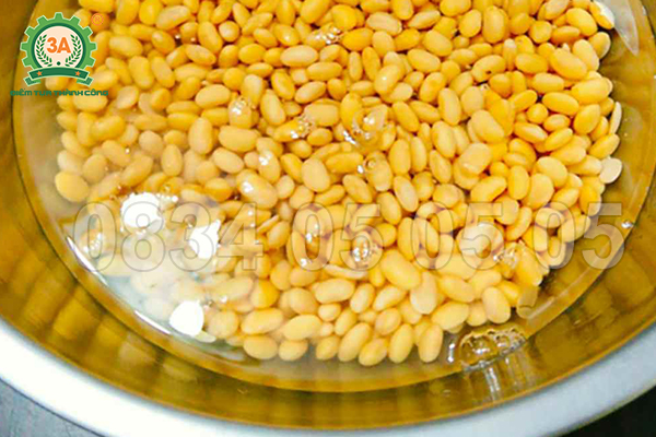 Làm sữa đậu nành