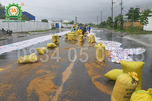 máy xúc lúa vào bao