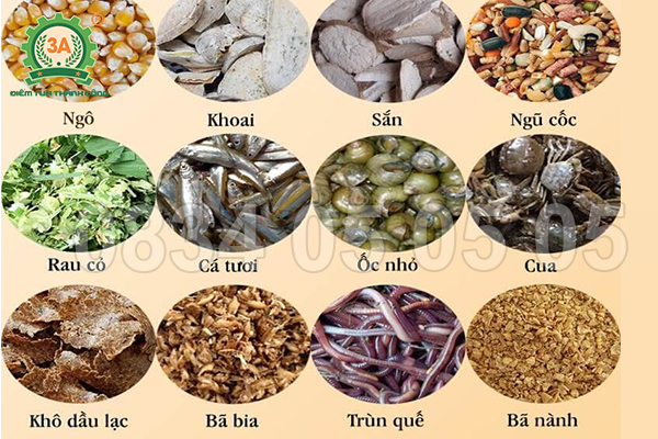 nguyên liệu làm cám viên cho gà