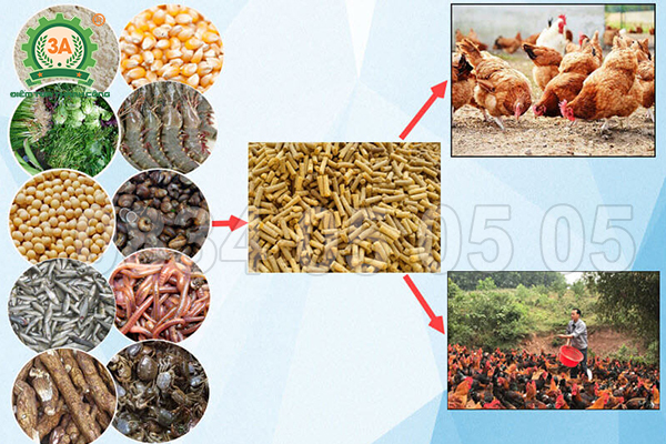 nguyên liệu làm cám viên cho gà