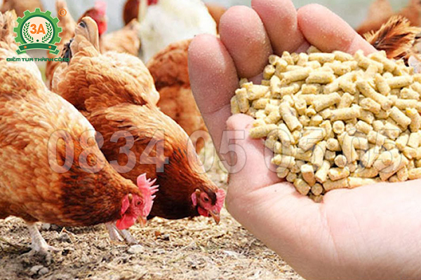 nguyên liệu làm cám viên cho gà