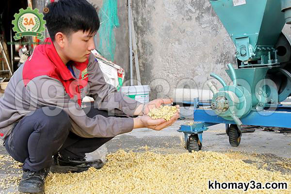 Máy ép cám viên nổi cho cá