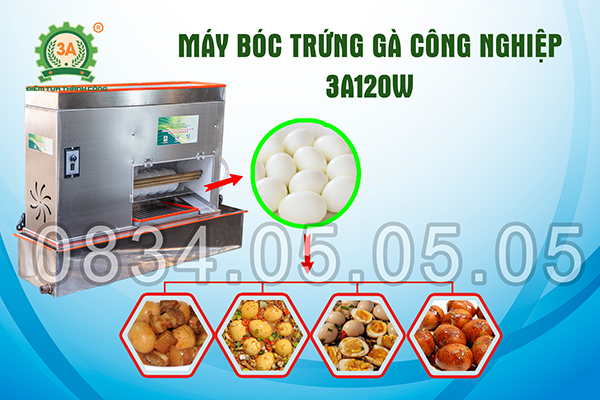 Máy bóc trứng gà công nghiệp