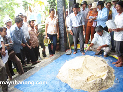 Kỹ thuật phối trộn thức ăn tinh hỗn hợp cho gia súc