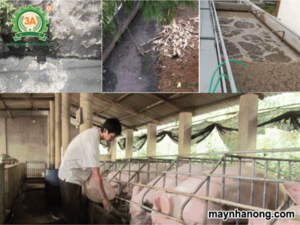 Cách xử lý chất thải trong chăn nuôi