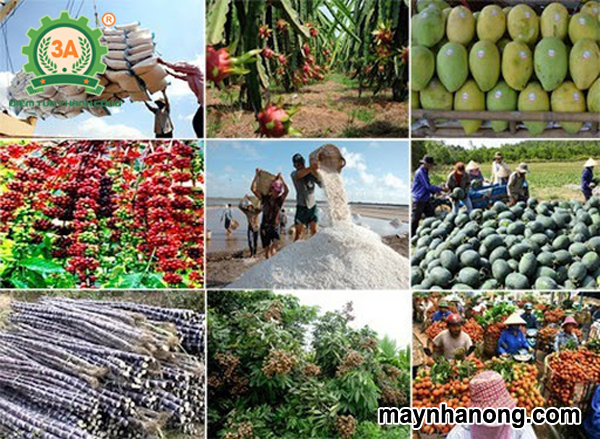 Chế biến và bảo quản nông sản sau thu hoạch