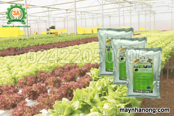 Phân vi sinh trồng rau sạch
