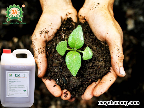 Tự làm đất sạch hữu cơ