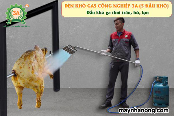 Nhiệt độ của đèn khò gas là bao nhiêu