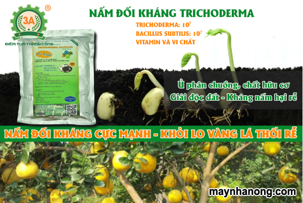 Những công dụng của trichoderma