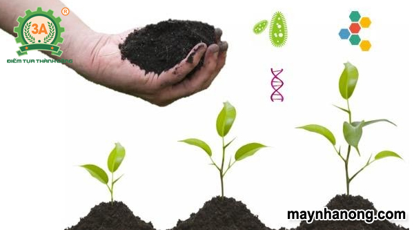Kỹ thuật làm phân hữu cơ vi sinh