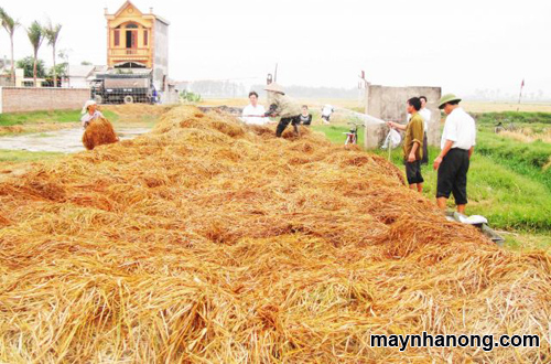 Kỹ thuật xử lý rơm rạ thành phân bón hữu cơ