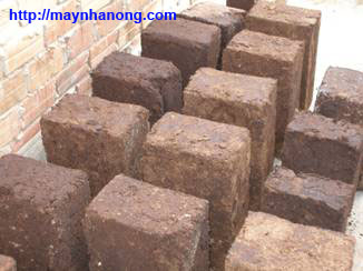 Kỹ thuật chế biến bánh dinh dưỡng trâu bò