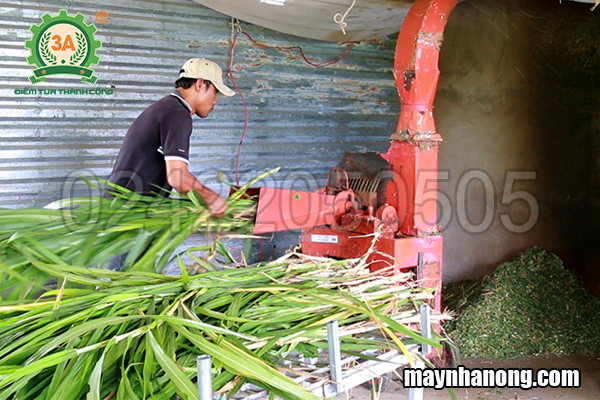 Máy thái cỏ cho bò