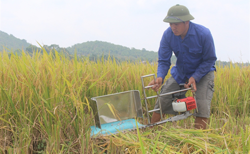 Máy gặt lúa cầm tay tăng năng suất lao động từ 5 – 10 lần