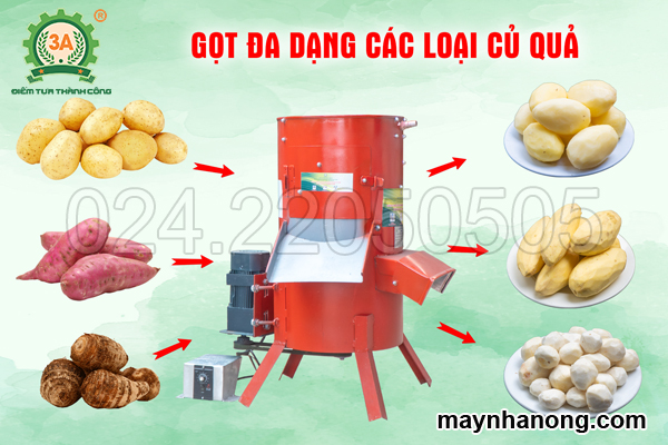Máy gọt vỏ khoai lang 3A và những lợi ích tuyệt vời