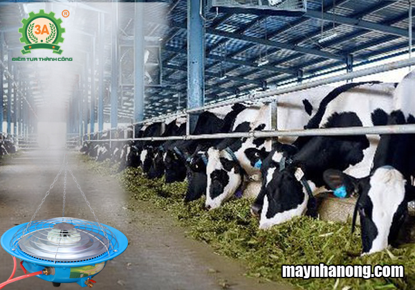 Máy phun sương tạo ẩm chuồng trại