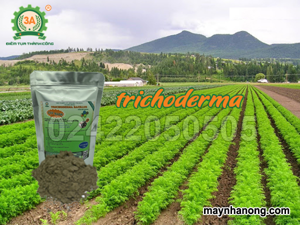 Liều lượng sử dụng chế phẩm Trichoderma