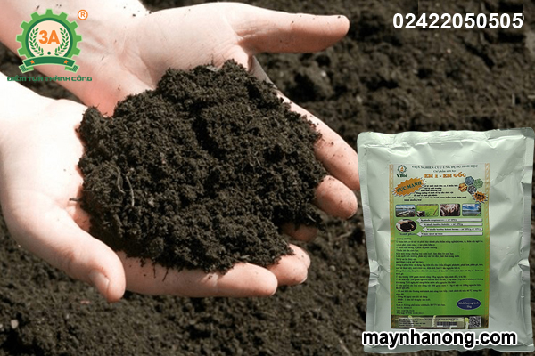 Quy trình sản xuất phân gà lên men