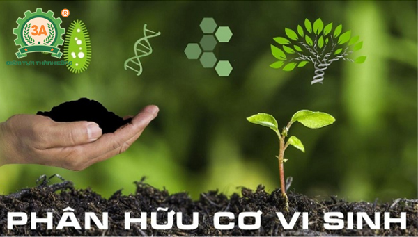 Phân vi sinh bón lan