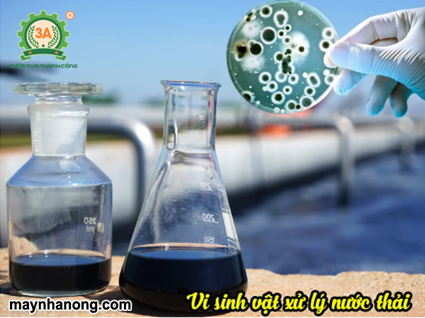 Phân vi sinh xử lý nước thải