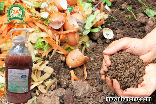 Quy trình ủ phân hữu cơ từ A đến Z