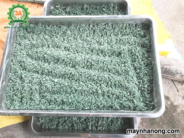 Sản xuất Bokashi Trichoderma từ bột ngô và đậu tương