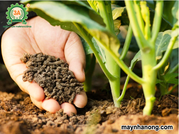 Sản xuất phân bón từ phụ phẩm nông nghiệp