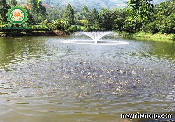 Thức ăn cho cá mè trắng