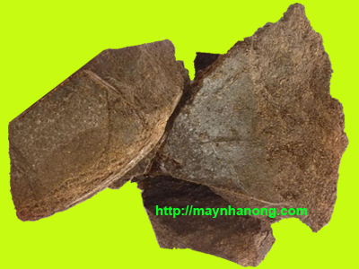 Thủy phân bánh dầu lạc bằng chế phẩm ENZYM PAPAIN