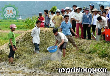 Kỹ thuật ủ phân chuồng với rơm rạ làm phân bón hữu cơ