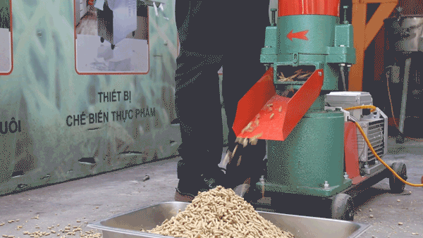 Máy ép cám viên cho thỏ 3A3,5Kw